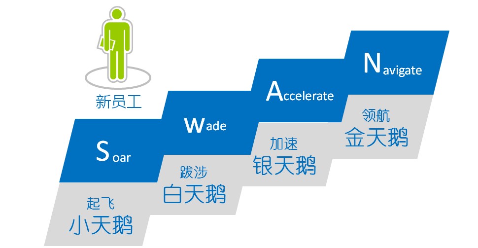 天鵝人才工程介紹.jpg