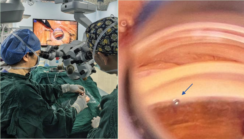 from clipboard from clipboard