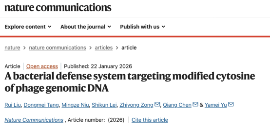 from clipboard from clipboard