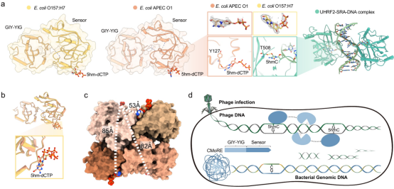 from clipboard from clipboard