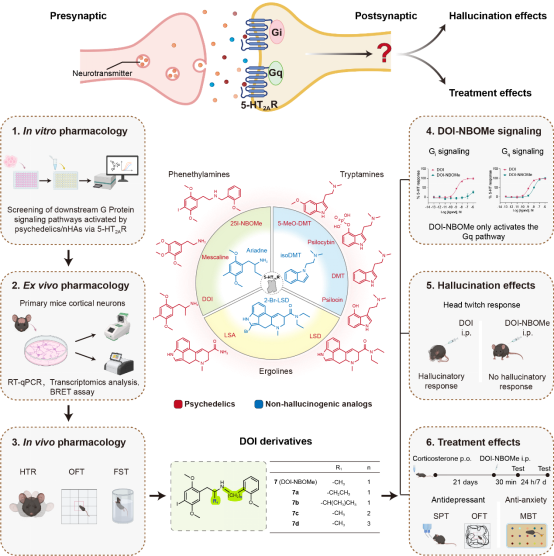from clipboard from clipboard